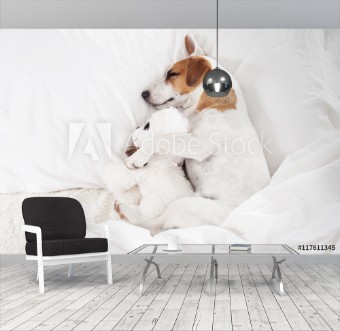 Picture of Sleeping dog at bed